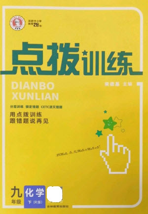吉林教育出版社2023點撥訓(xùn)練九年級化學(xué)下冊人教版參考答案