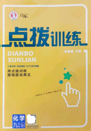 山西教育出版社2023點(diǎn)撥訓(xùn)練九年級(jí)化學(xué)下冊(cè)滬教版參考答案