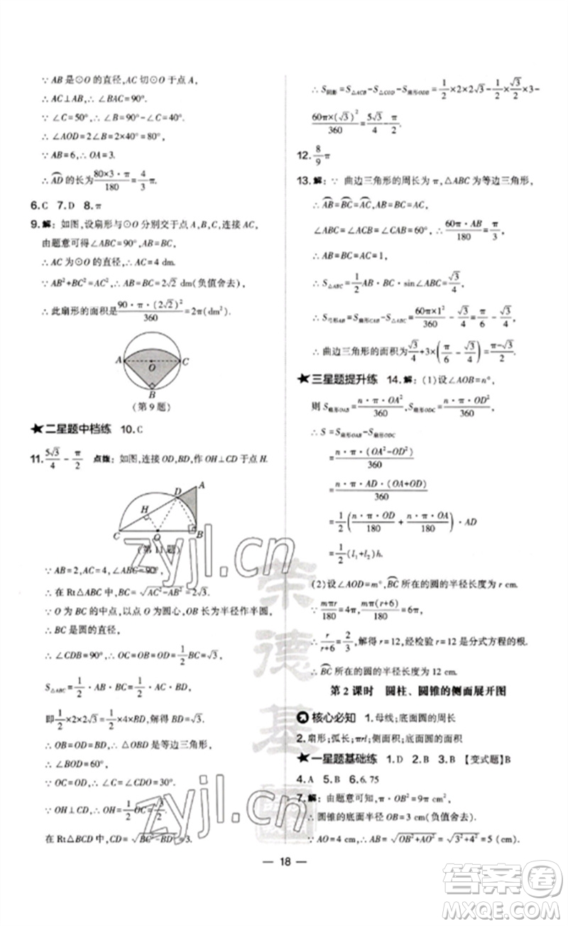 山西教育出版社2023點(diǎn)撥訓(xùn)練九年級(jí)數(shù)學(xué)下冊(cè)滬科版安徽專版參考答案