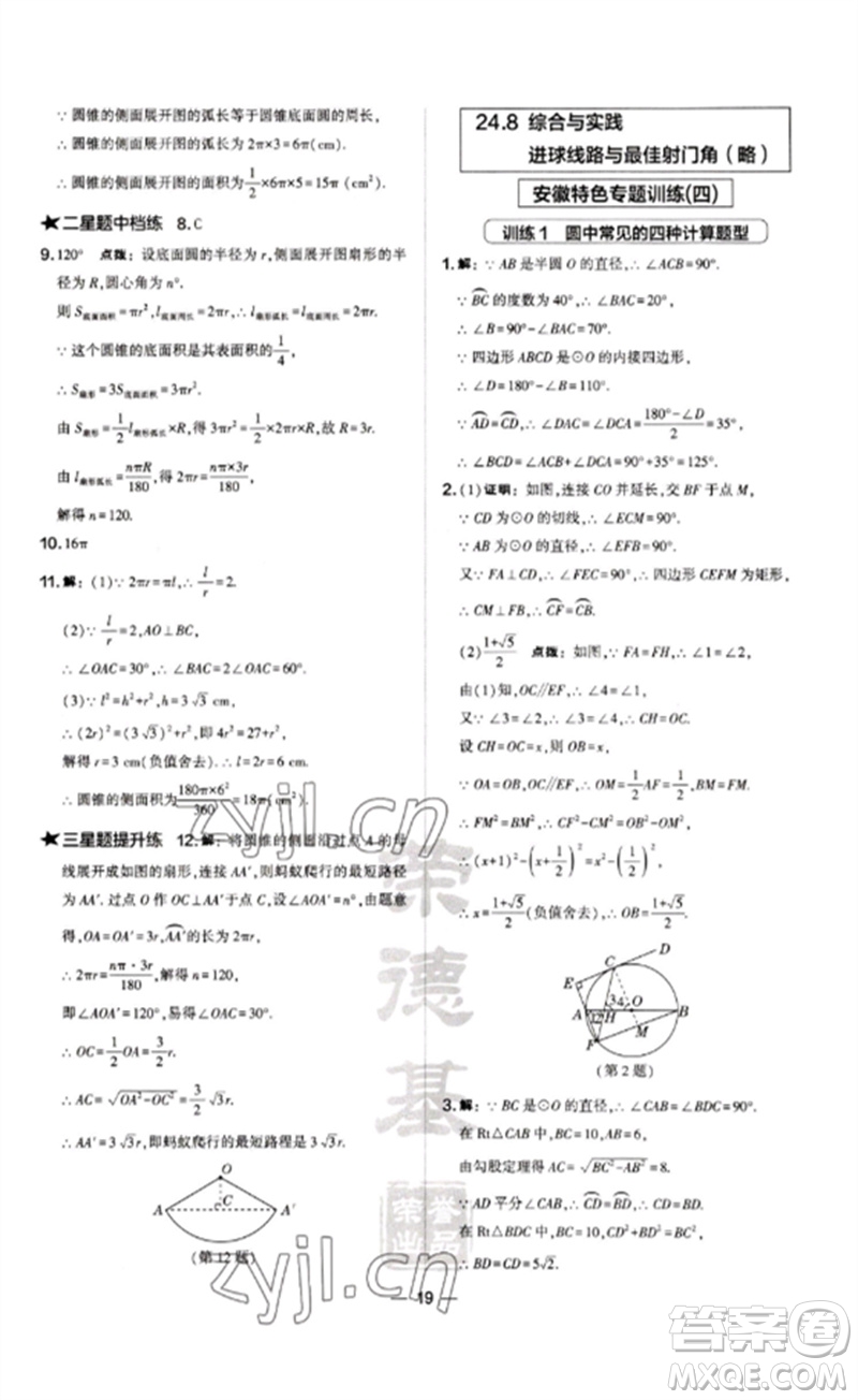 山西教育出版社2023點(diǎn)撥訓(xùn)練九年級(jí)數(shù)學(xué)下冊(cè)滬科版安徽專版參考答案