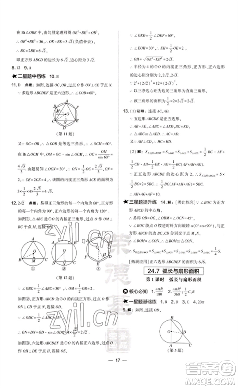 山西教育出版社2023點(diǎn)撥訓(xùn)練九年級(jí)數(shù)學(xué)下冊(cè)滬科版安徽專版參考答案