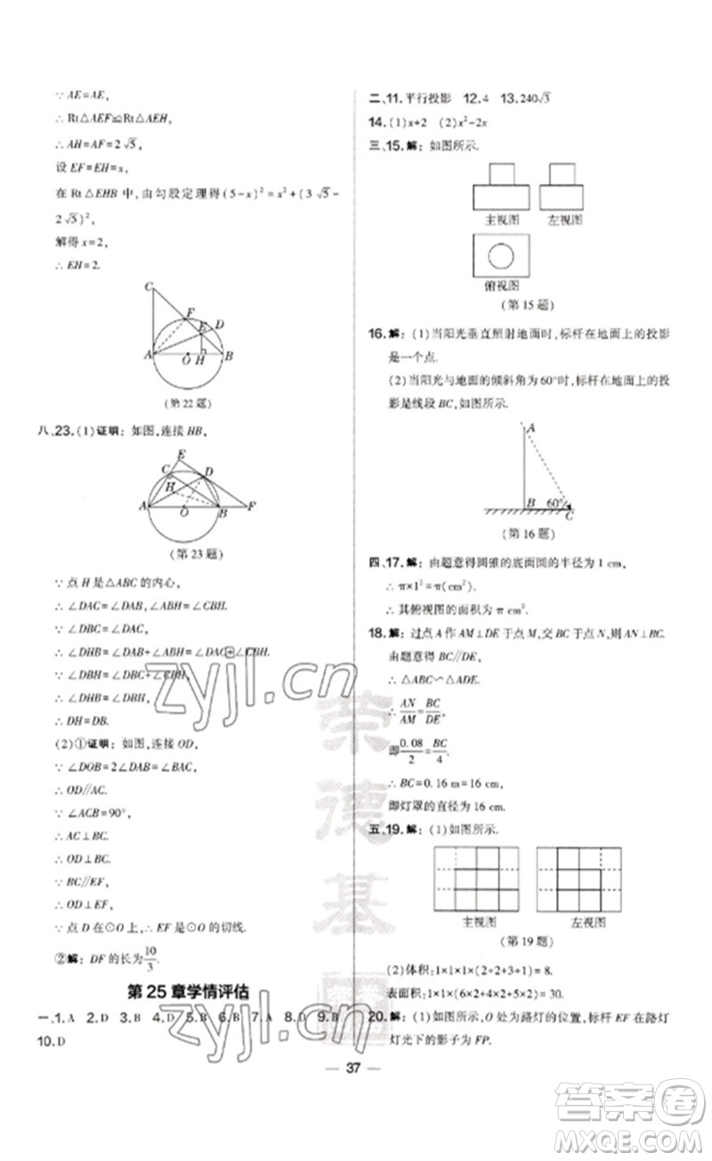 山西教育出版社2023點(diǎn)撥訓(xùn)練九年級(jí)數(shù)學(xué)下冊(cè)滬科版安徽專版參考答案