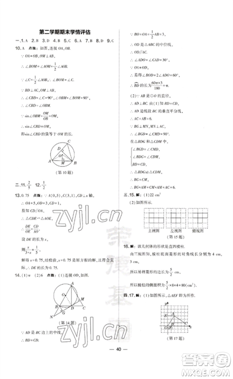 山西教育出版社2023點(diǎn)撥訓(xùn)練九年級(jí)數(shù)學(xué)下冊(cè)滬科版安徽專版參考答案