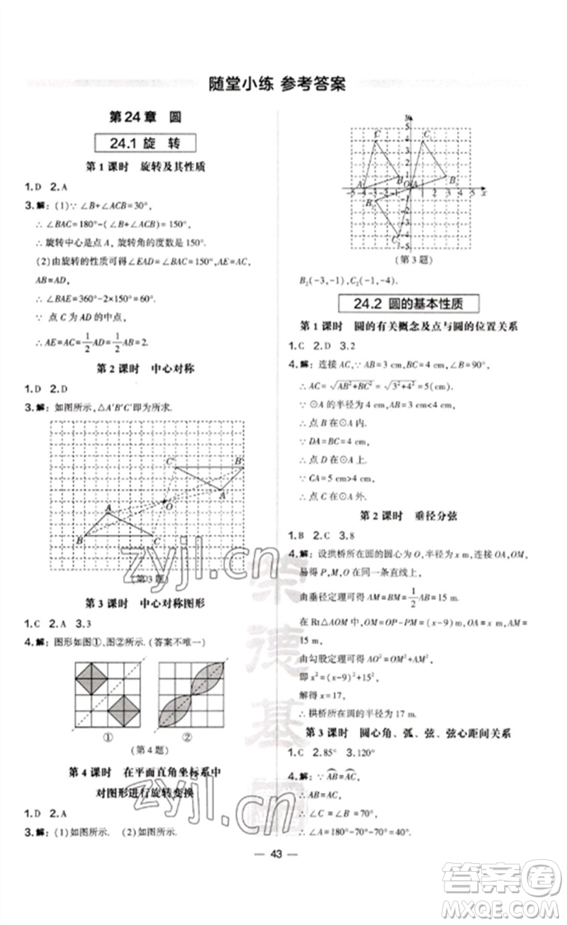 山西教育出版社2023點(diǎn)撥訓(xùn)練九年級(jí)數(shù)學(xué)下冊(cè)滬科版安徽專版參考答案