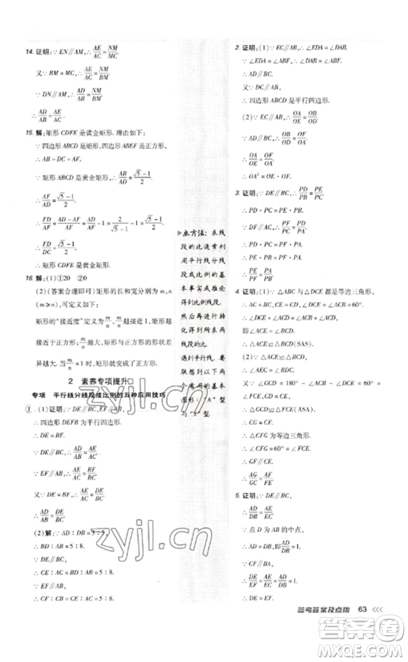 吉林教育出版社2023點撥訓(xùn)練九年級數(shù)學(xué)下冊人教版參考答案