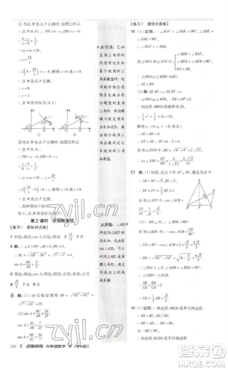 安徽教育出版社2023點(diǎn)撥訓(xùn)練九年級(jí)數(shù)學(xué)下冊(cè)北師大版參考答案