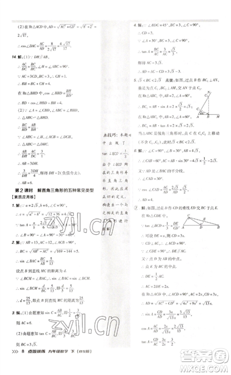 安徽教育出版社2023點(diǎn)撥訓(xùn)練九年級(jí)數(shù)學(xué)下冊(cè)北師大版參考答案