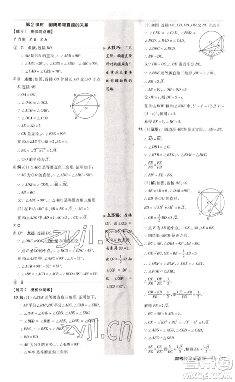 安徽教育出版社2023點(diǎn)撥訓(xùn)練九年級(jí)數(shù)學(xué)下冊(cè)北師大版參考答案