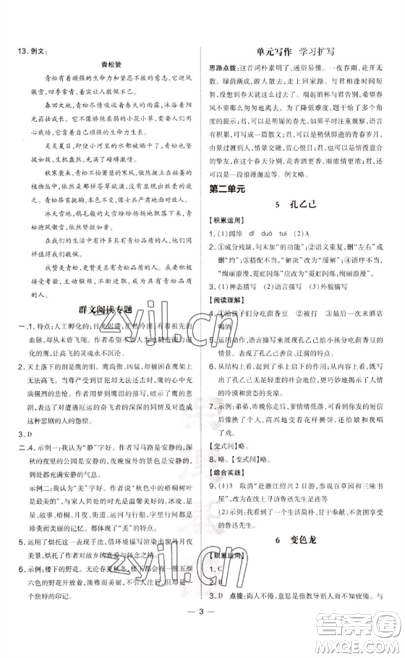 吉林教育出版社2023點撥訓(xùn)練九年級語文下冊人教版參考答案