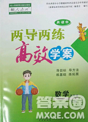 希望出版社2023新課標(biāo)兩導(dǎo)兩練高效學(xué)案五年級(jí)下冊(cè)數(shù)學(xué)人教版參考答案
