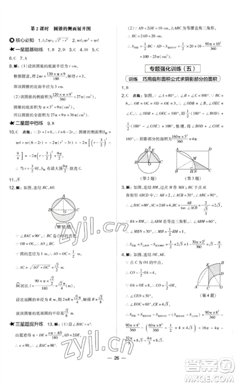 山西教育出版社2023點(diǎn)撥訓(xùn)練九年級(jí)數(shù)學(xué)下冊(cè)華師大版參考答案