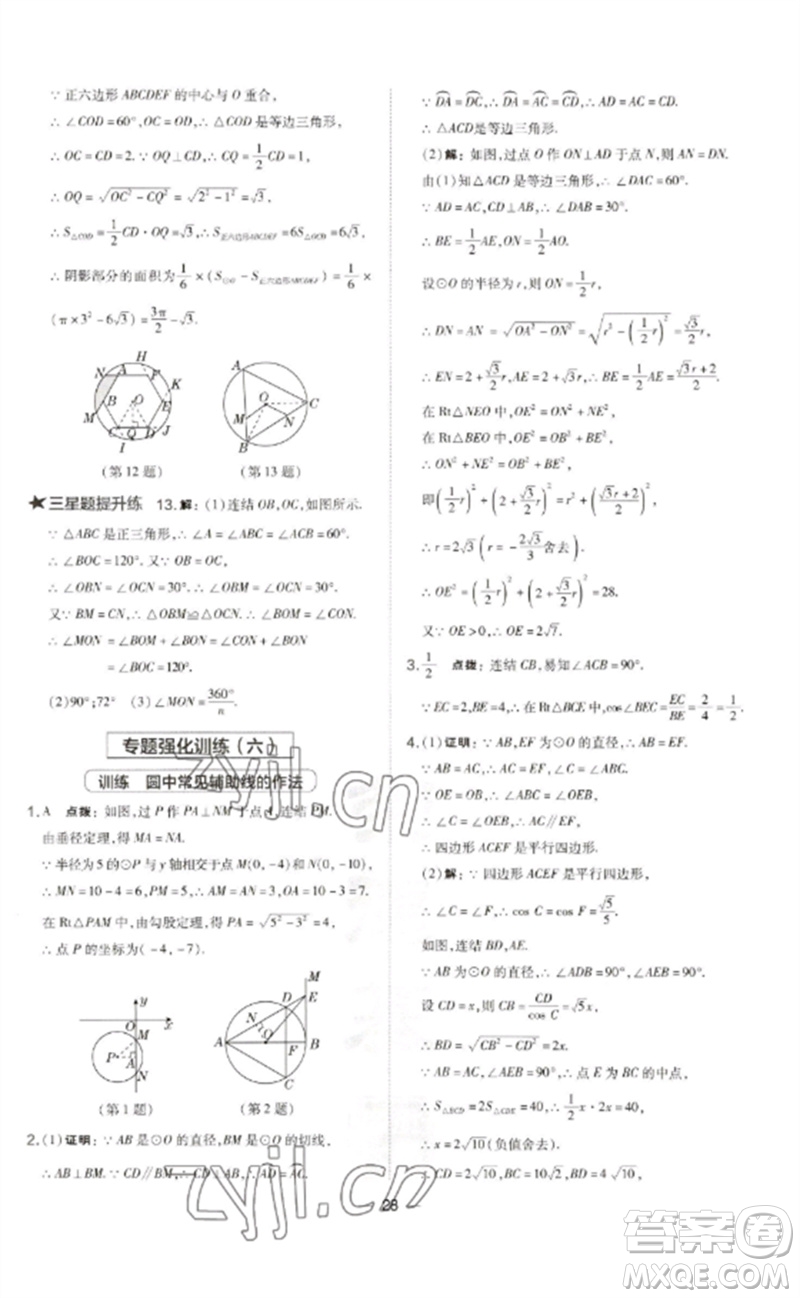 山西教育出版社2023點(diǎn)撥訓(xùn)練九年級(jí)數(shù)學(xué)下冊(cè)華師大版參考答案