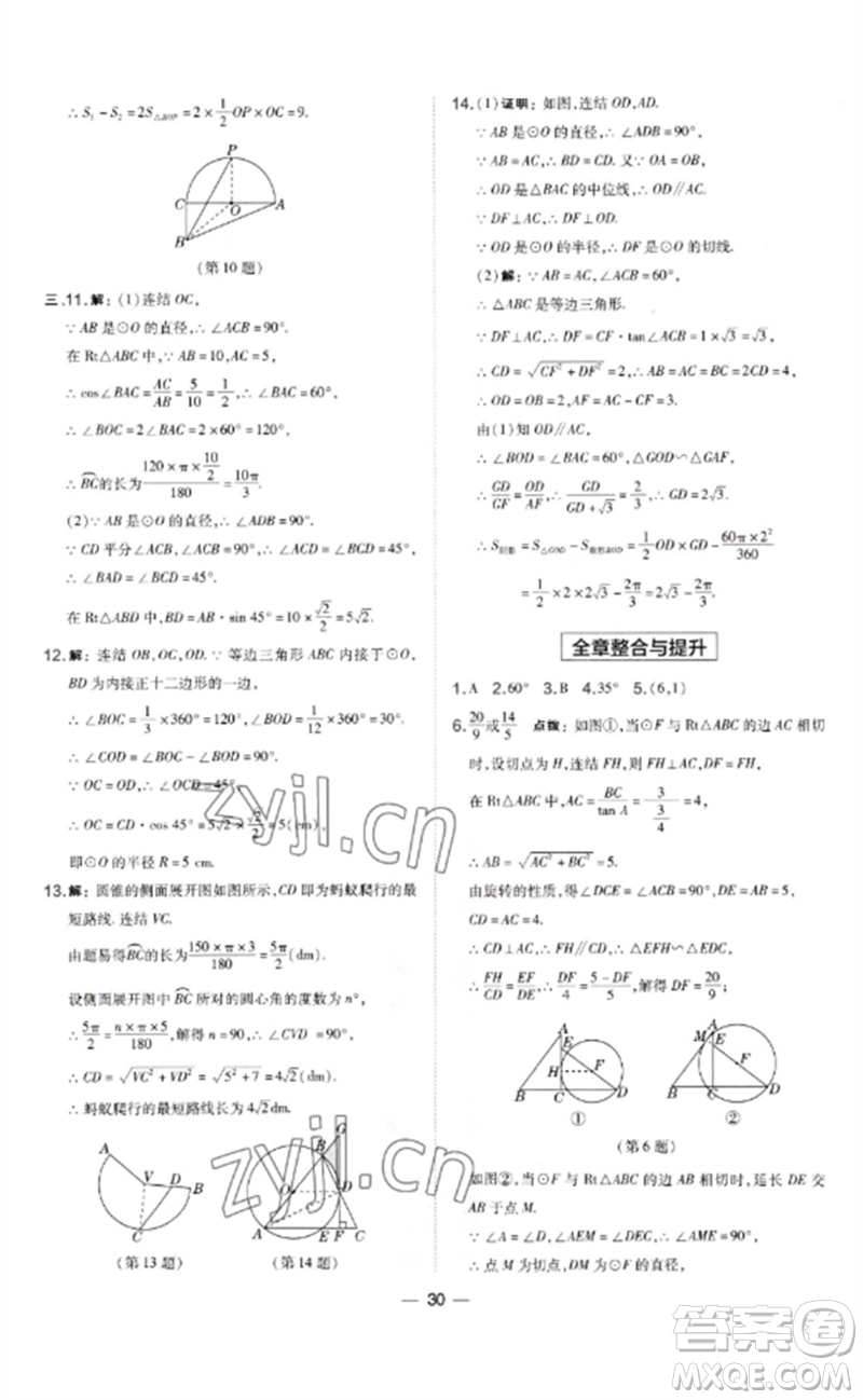 山西教育出版社2023點(diǎn)撥訓(xùn)練九年級(jí)數(shù)學(xué)下冊(cè)華師大版參考答案