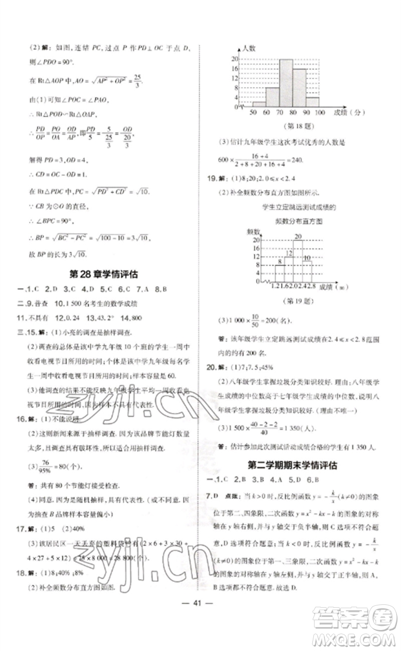 山西教育出版社2023點(diǎn)撥訓(xùn)練九年級(jí)數(shù)學(xué)下冊(cè)華師大版參考答案