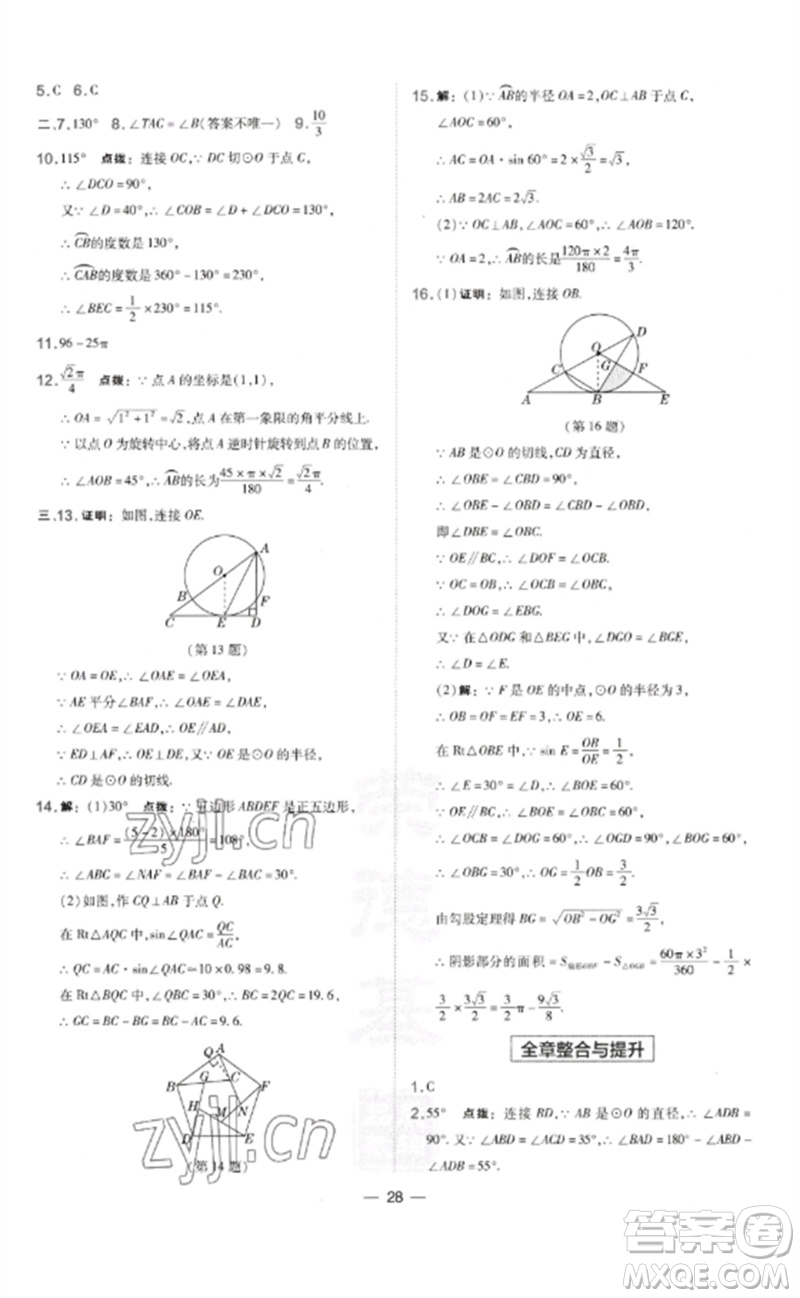 山西教育出版社2023點(diǎn)撥訓(xùn)練九年級(jí)數(shù)學(xué)下冊(cè)湘教版參考答案