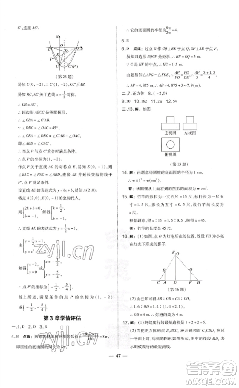 山西教育出版社2023點(diǎn)撥訓(xùn)練九年級(jí)數(shù)學(xué)下冊(cè)湘教版參考答案