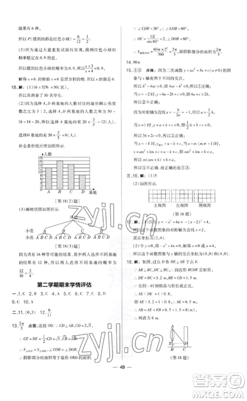 山西教育出版社2023點(diǎn)撥訓(xùn)練九年級(jí)數(shù)學(xué)下冊(cè)湘教版參考答案