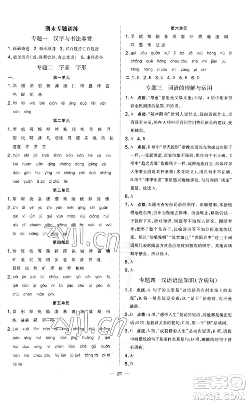 安徽教育出版社2023點(diǎn)撥訓(xùn)練九年級語文下冊人教版山西專版參考答案