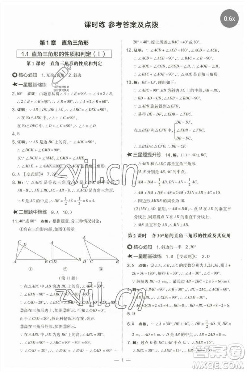 山西教育出版社2023點撥訓(xùn)練八年級數(shù)學(xué)下冊湘教版參考答案