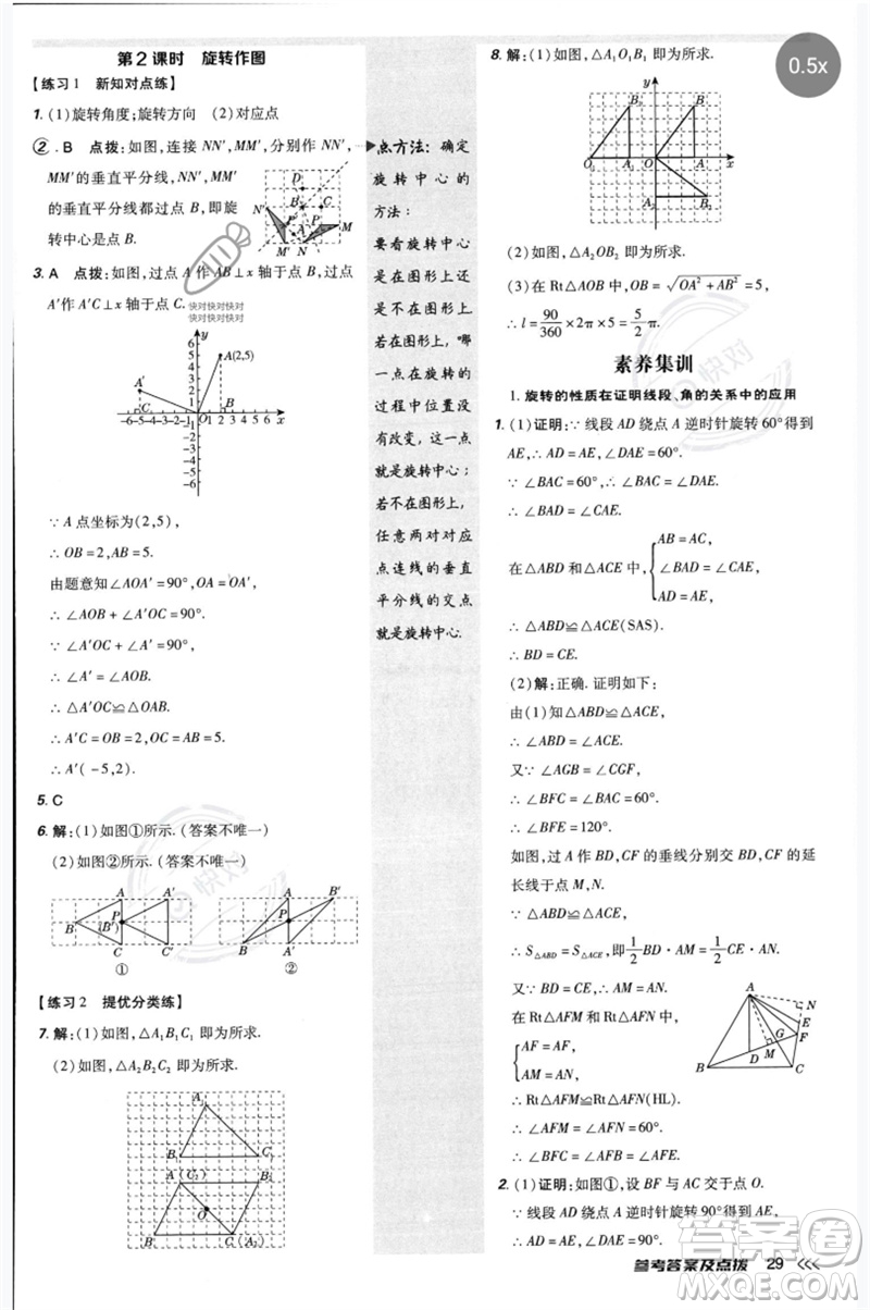 安徽教育出版社2023點(diǎn)撥訓(xùn)練八年級(jí)數(shù)學(xué)下冊(cè)北師大版參考答案
