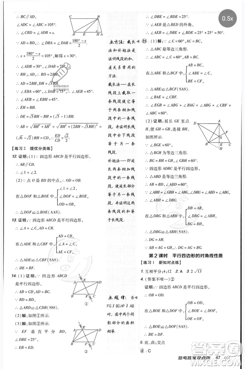 安徽教育出版社2023點(diǎn)撥訓(xùn)練八年級(jí)數(shù)學(xué)下冊(cè)北師大版參考答案