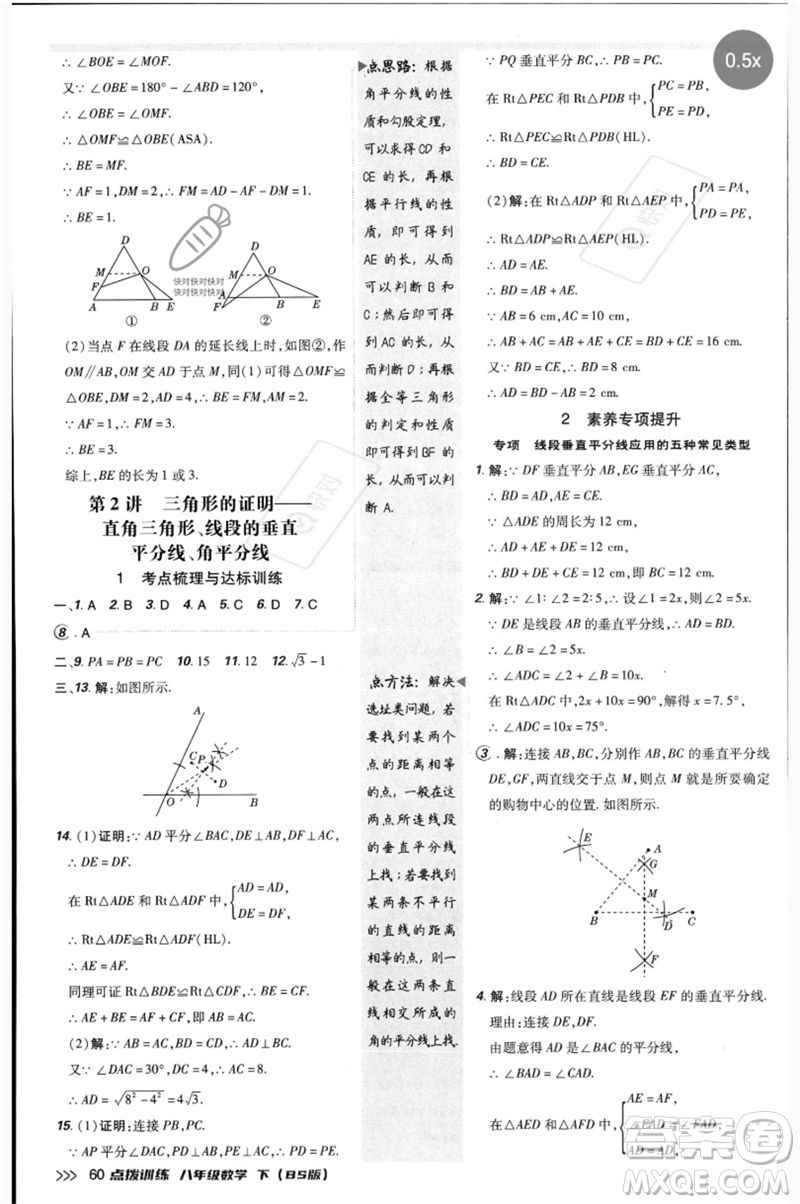 安徽教育出版社2023點(diǎn)撥訓(xùn)練八年級(jí)數(shù)學(xué)下冊(cè)北師大版參考答案