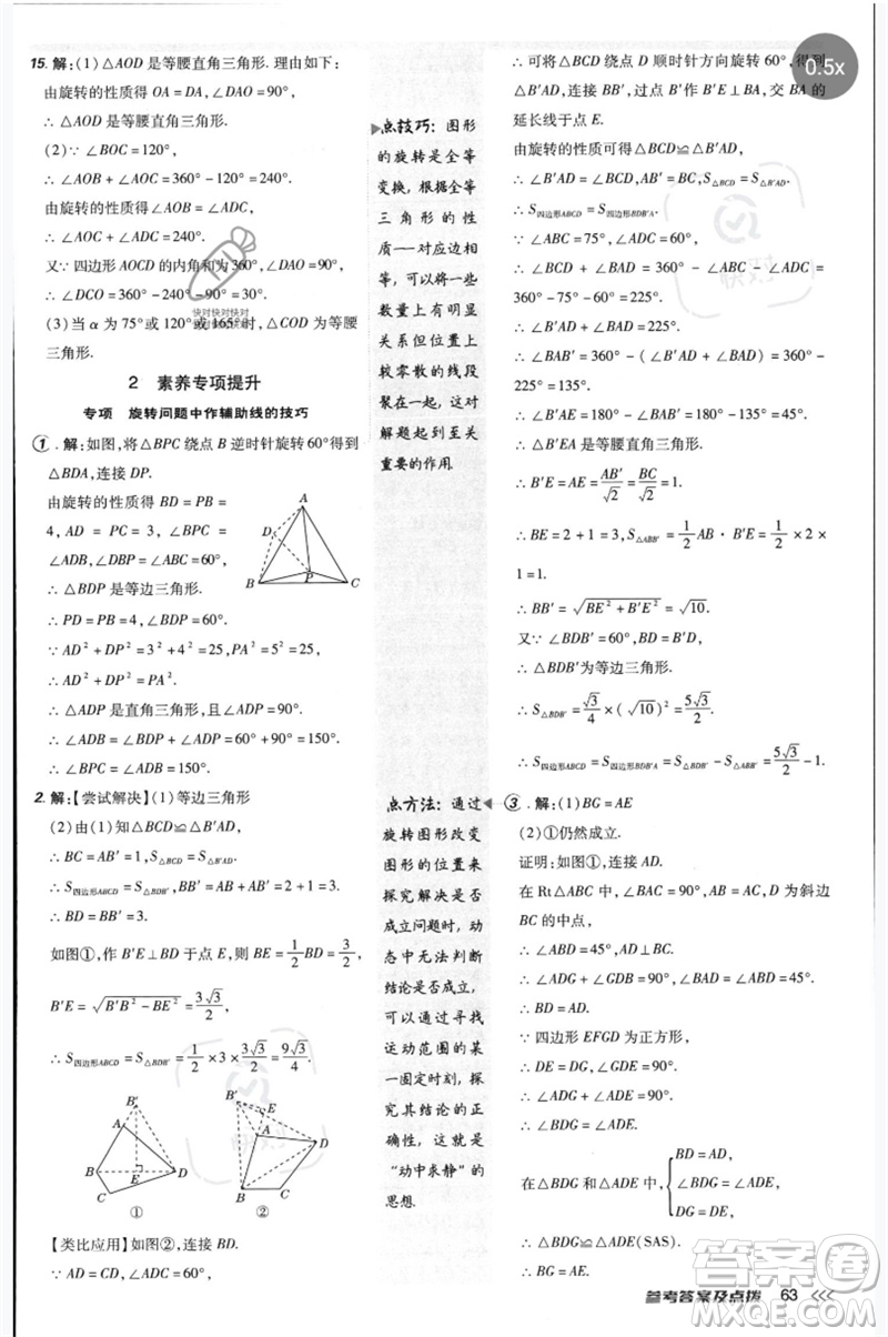 安徽教育出版社2023點(diǎn)撥訓(xùn)練八年級(jí)數(shù)學(xué)下冊(cè)北師大版參考答案