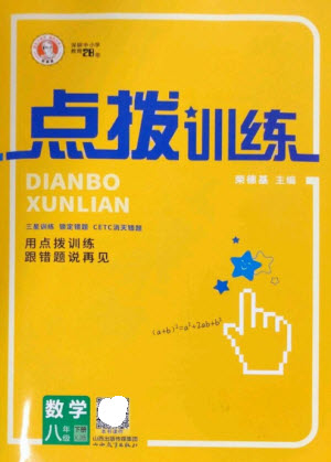 山西教育出版社2023點撥訓(xùn)練八年級數(shù)學(xué)下冊湘教版參考答案