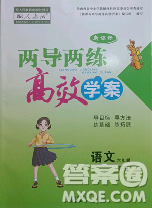 希望出版社2023新課標兩導兩練高效學案六年級下冊語文人教版參考答案