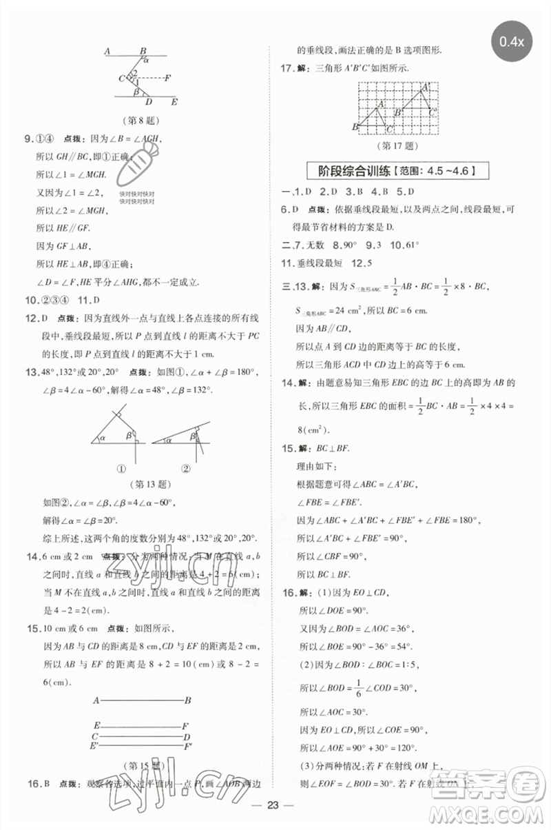 山西教育出版社2023點(diǎn)撥訓(xùn)練七年級(jí)數(shù)學(xué)下冊(cè)湘教版參考答案