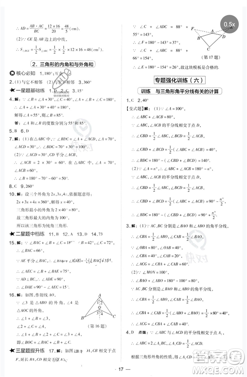 山西教育出版社2023點撥訓練七年級數學下冊華師大版參考答案