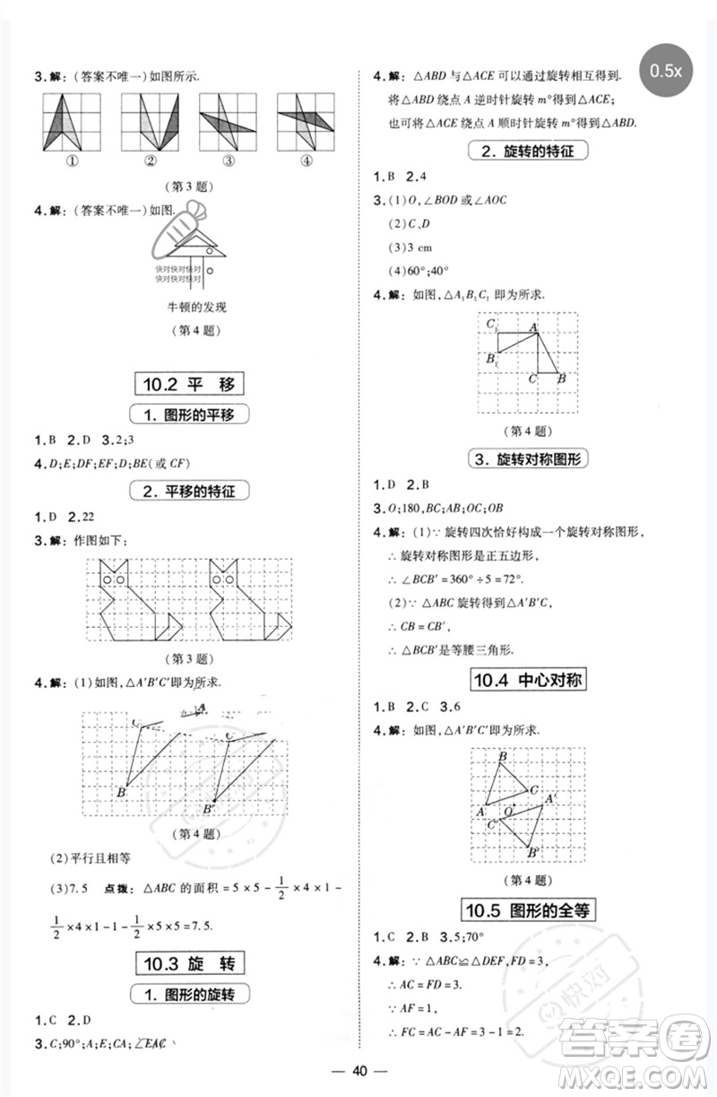 山西教育出版社2023點撥訓練七年級數學下冊華師大版參考答案