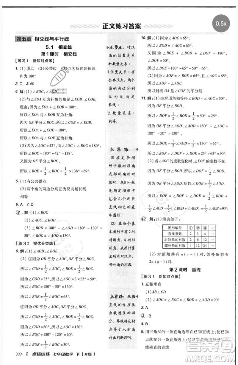 吉林教育出版社2023點撥訓(xùn)練七年級數(shù)學(xué)下冊人教版參考答案