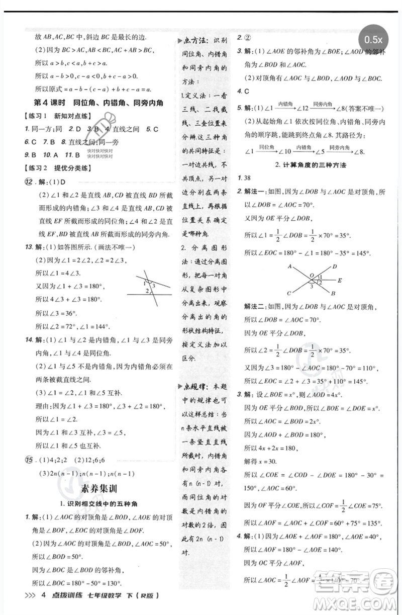 吉林教育出版社2023點撥訓(xùn)練七年級數(shù)學(xué)下冊人教版參考答案