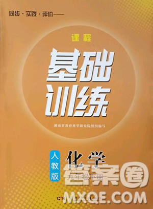 湖南少年兒童出版社2023同步實(shí)踐評(píng)價(jià)課程基礎(chǔ)訓(xùn)練九年級(jí)下冊(cè)化學(xué)人教版參考答案