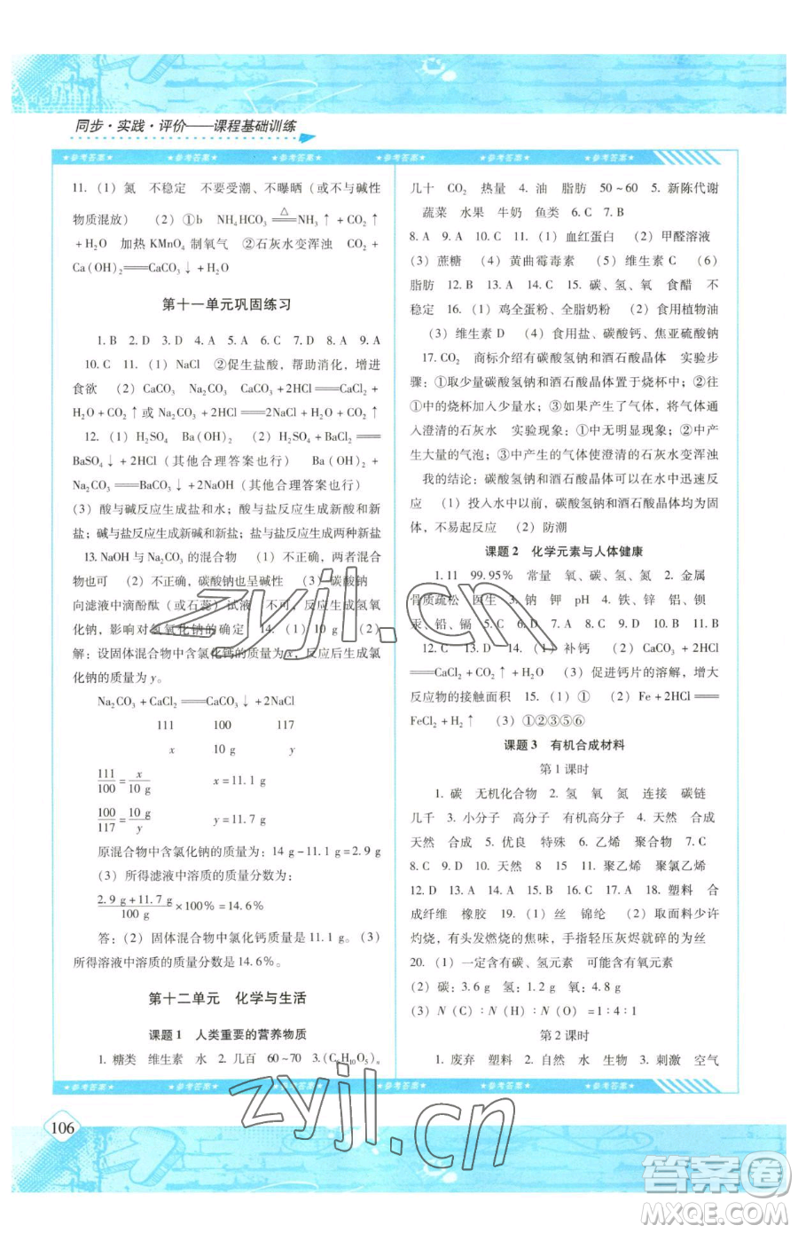 湖南少年兒童出版社2023同步實(shí)踐評(píng)價(jià)課程基礎(chǔ)訓(xùn)練九年級(jí)下冊(cè)化學(xué)人教版參考答案