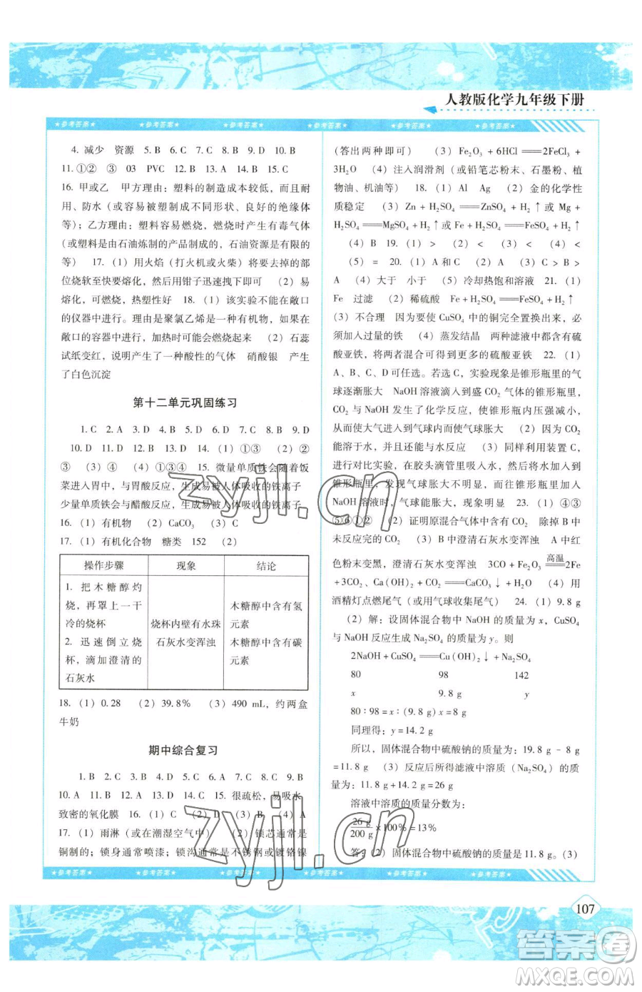 湖南少年兒童出版社2023同步實(shí)踐評(píng)價(jià)課程基礎(chǔ)訓(xùn)練九年級(jí)下冊(cè)化學(xué)人教版參考答案