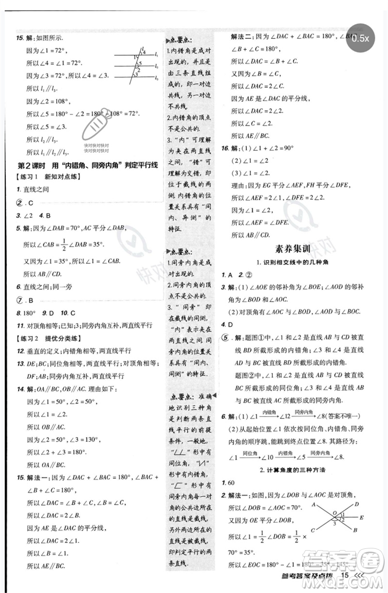 安徽教育出版社2023點(diǎn)撥訓(xùn)練七年級(jí)數(shù)學(xué)下冊(cè)北師大版參考答案