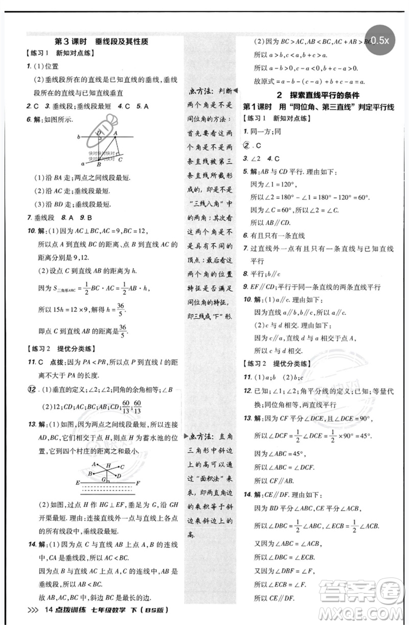 安徽教育出版社2023點(diǎn)撥訓(xùn)練七年級(jí)數(shù)學(xué)下冊(cè)北師大版參考答案
