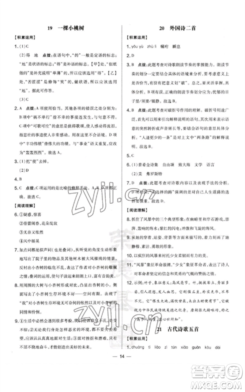 山西教育出版社2023點(diǎn)撥訓(xùn)練七年級(jí)語(yǔ)文下冊(cè)人教版河南專版參考答案
