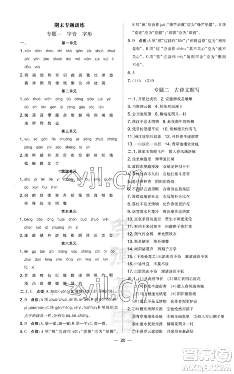 山西教育出版社2023點(diǎn)撥訓(xùn)練七年級(jí)語(yǔ)文下冊(cè)人教版河南專版參考答案