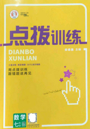 山西教育出版社2023點撥訓練七年級數學下冊華師大版參考答案