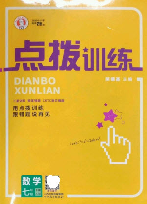 山西教育出版社2023點(diǎn)撥訓(xùn)練七年級(jí)數(shù)學(xué)下冊(cè)湘教版參考答案