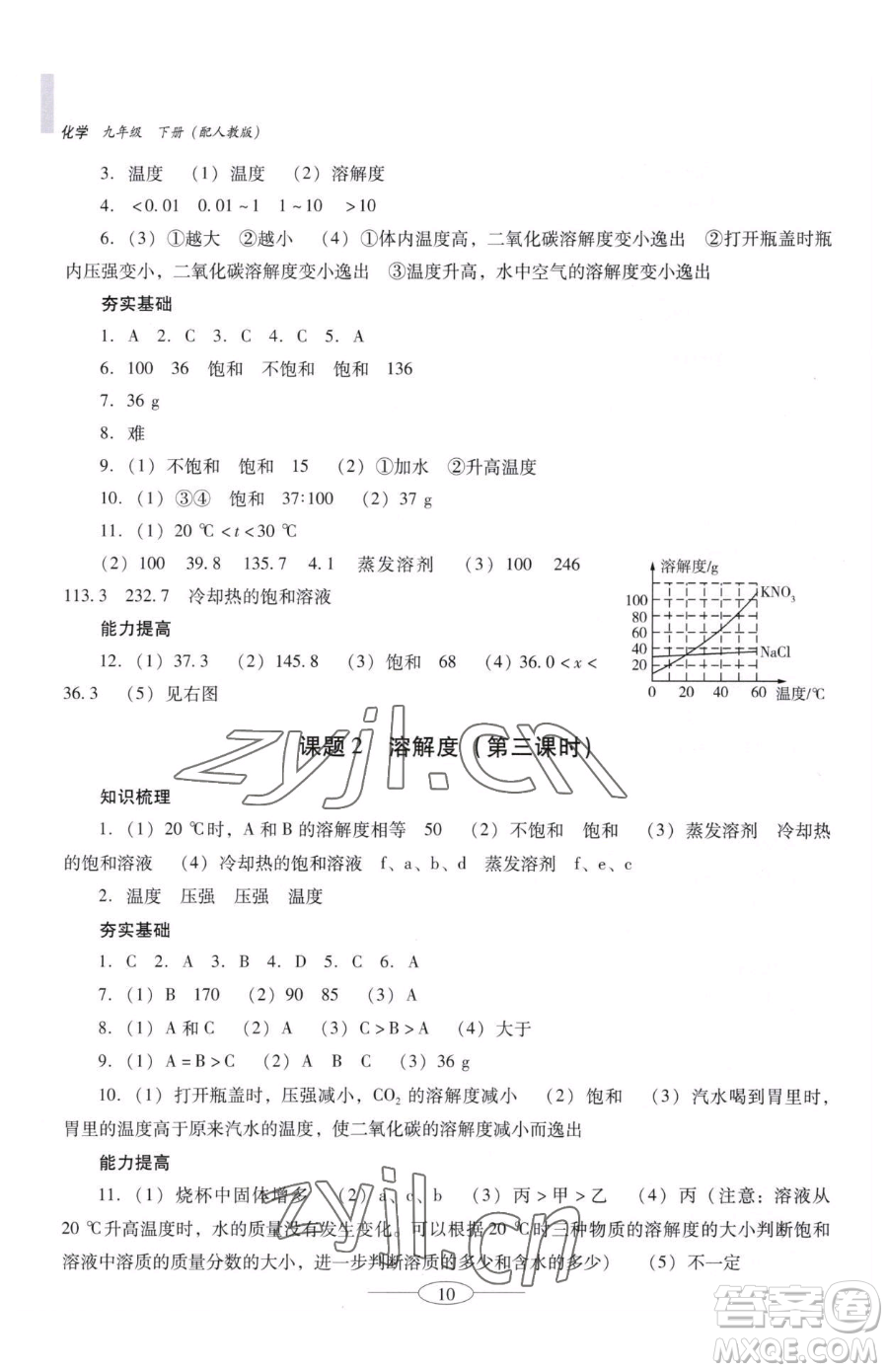 廣東教育出版社2023南方新課堂金牌學案九年級下冊化學人教版珠海專版參考答案