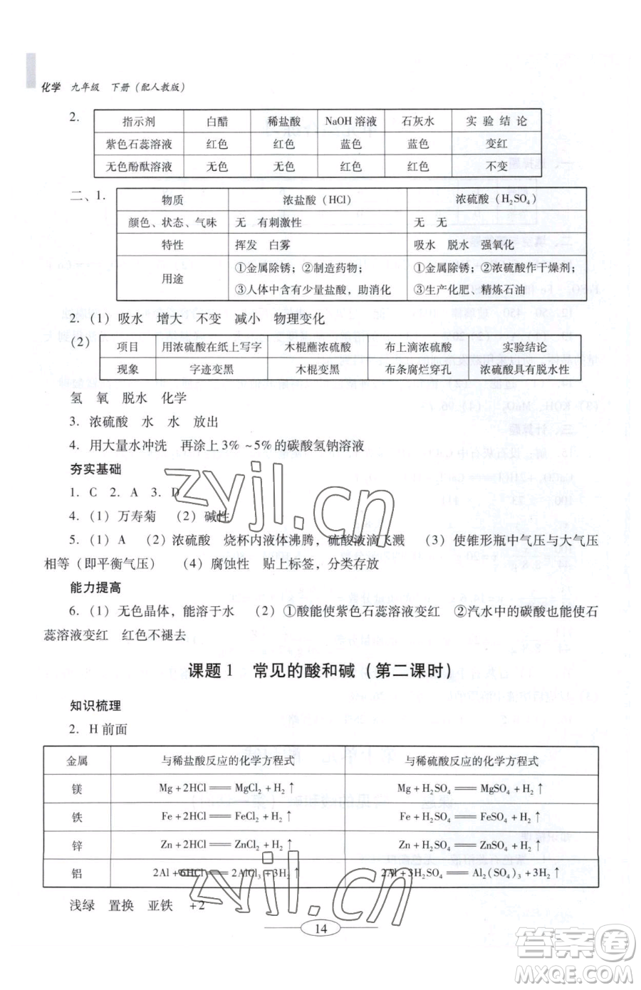 廣東教育出版社2023南方新課堂金牌學案九年級下冊化學人教版珠海專版參考答案