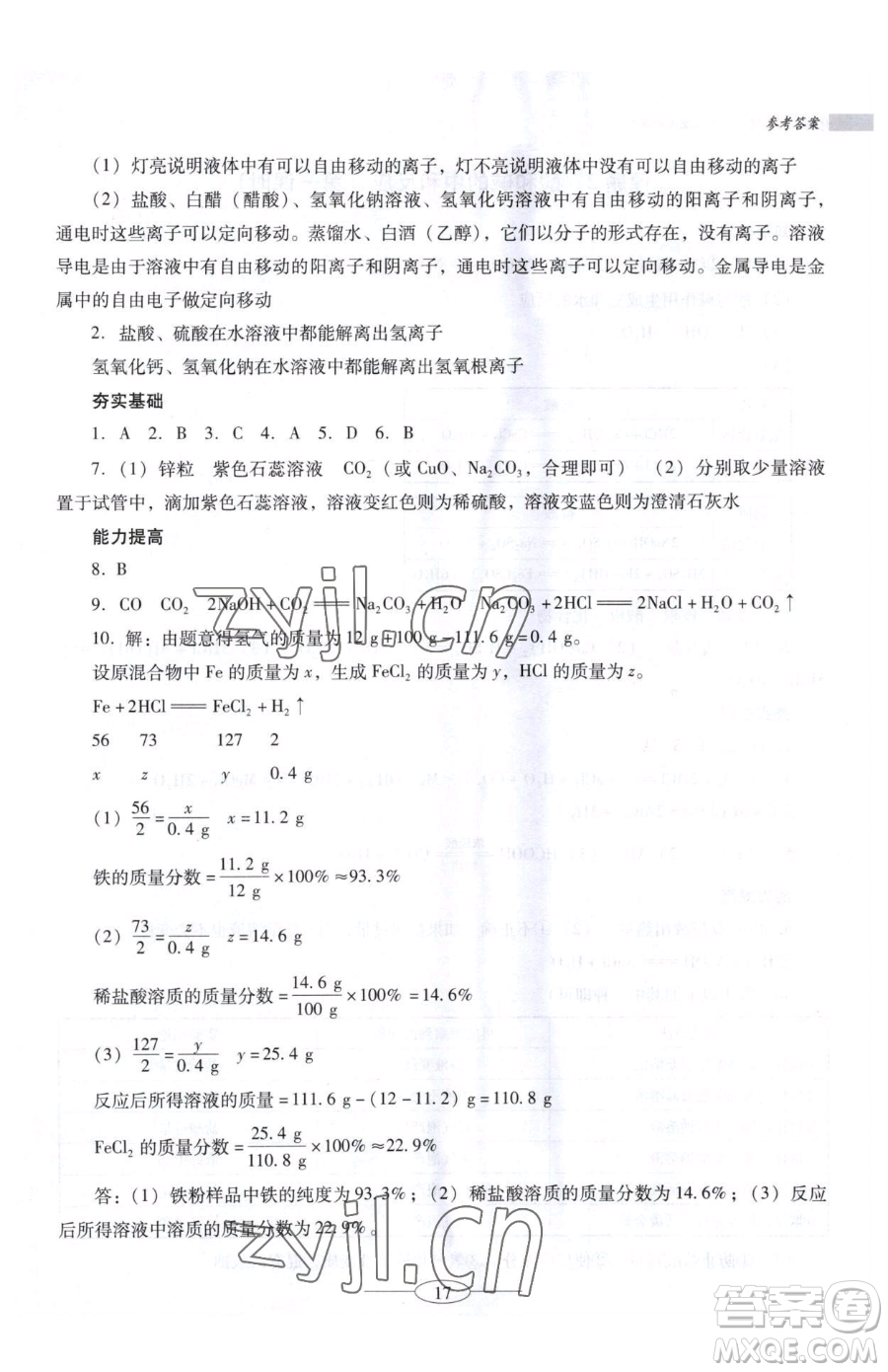 廣東教育出版社2023南方新課堂金牌學案九年級下冊化學人教版珠海專版參考答案