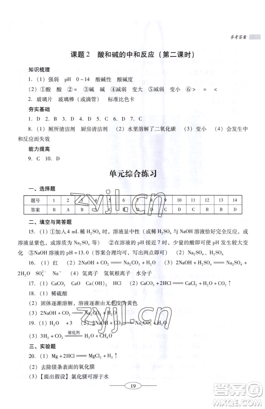 廣東教育出版社2023南方新課堂金牌學案九年級下冊化學人教版珠海專版參考答案