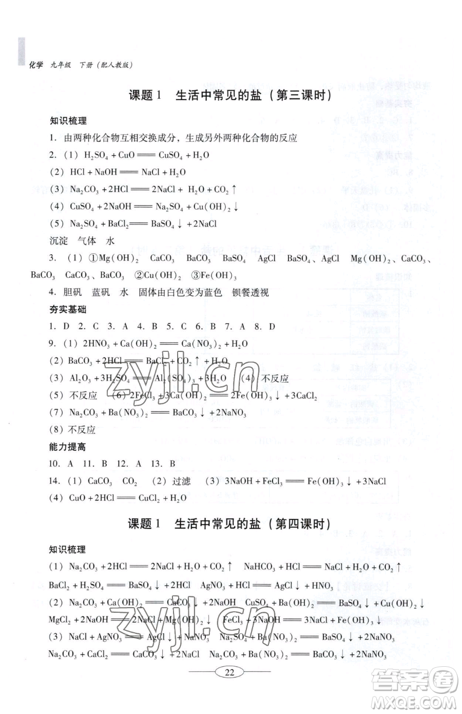 廣東教育出版社2023南方新課堂金牌學案九年級下冊化學人教版珠海專版參考答案