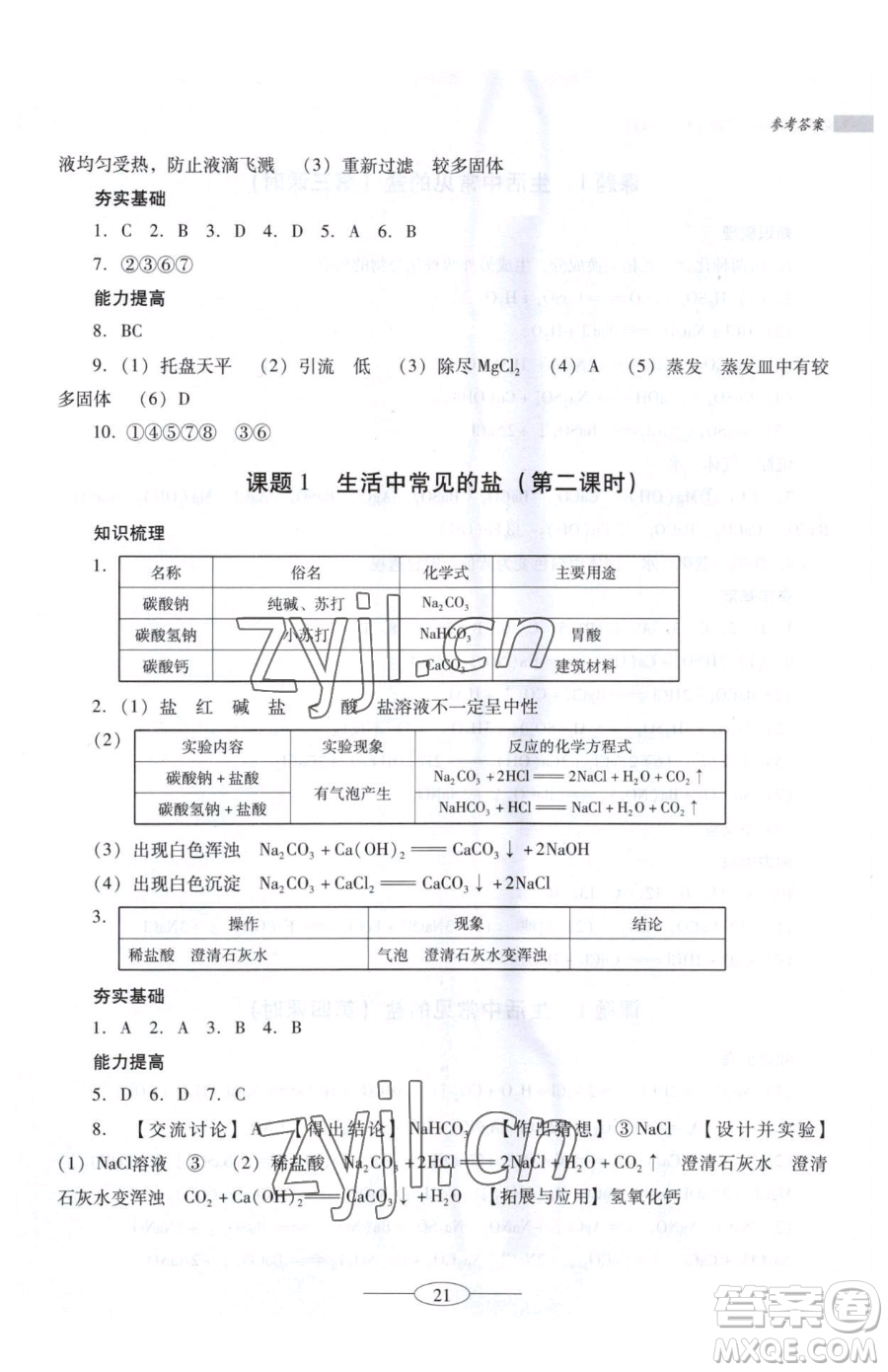 廣東教育出版社2023南方新課堂金牌學案九年級下冊化學人教版珠海專版參考答案