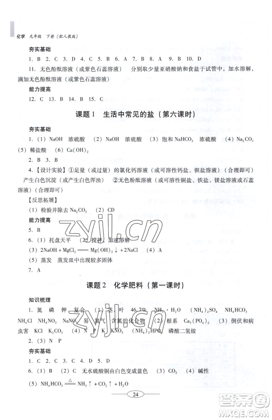 廣東教育出版社2023南方新課堂金牌學案九年級下冊化學人教版珠海專版參考答案